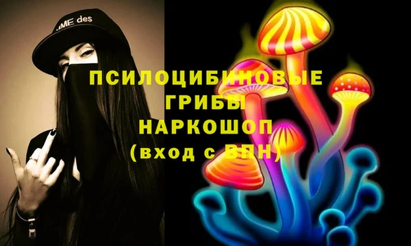 винт Армянск