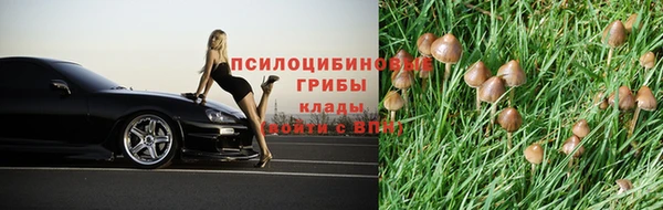 винт Армянск