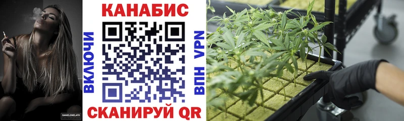купить наркоту  Уржум  Марихуана OG Kush 